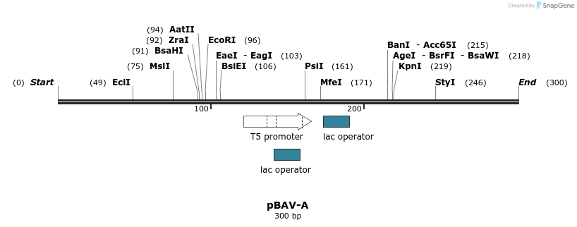116646_map