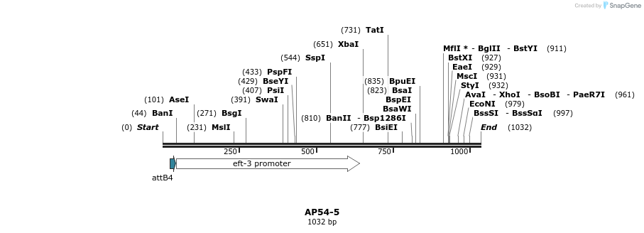 116648_map