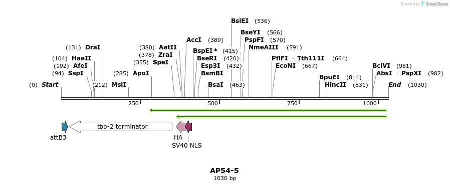 116651_map