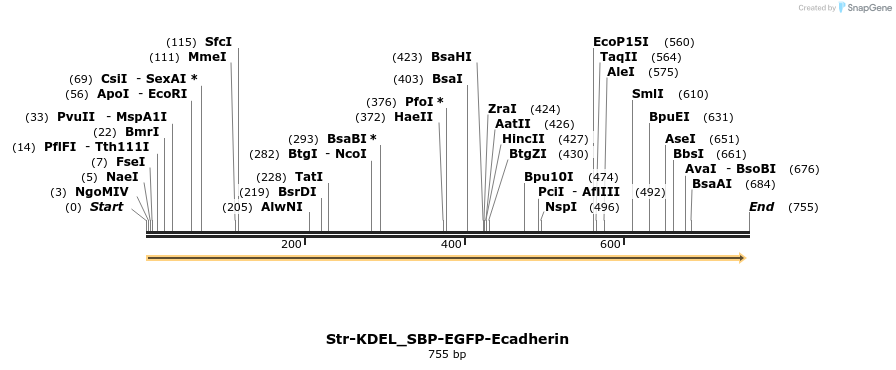 116666_map