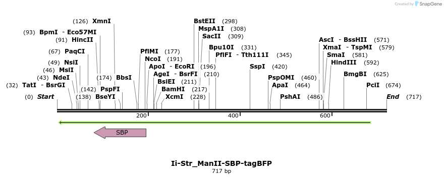 116667_map