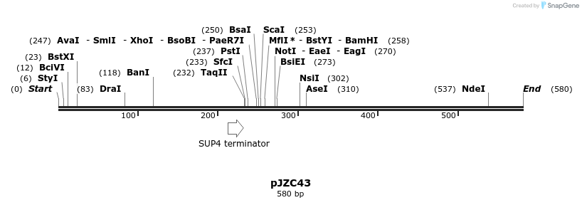 116669_map