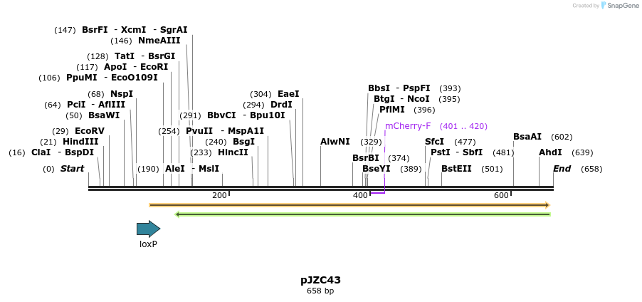 116670_map