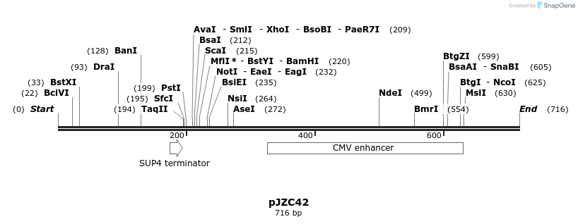 116671_map