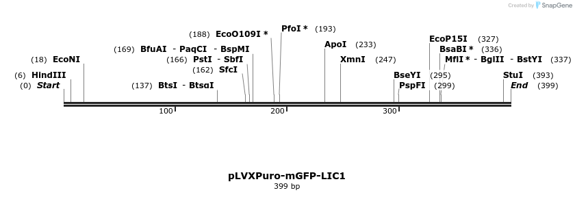 116678_map