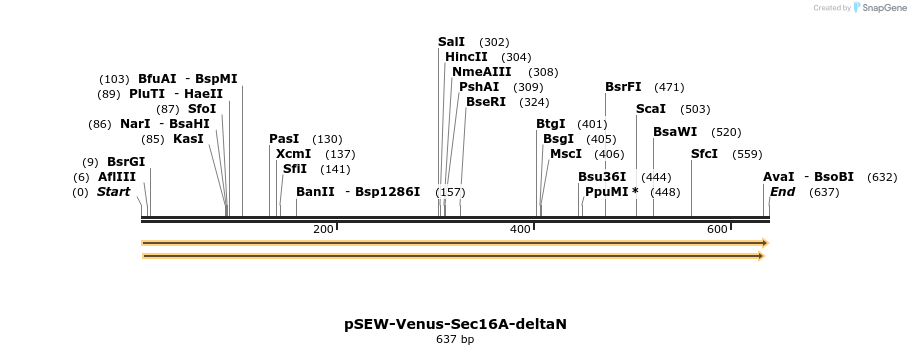 116680_map