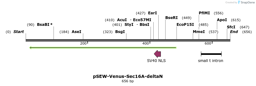 116682_map