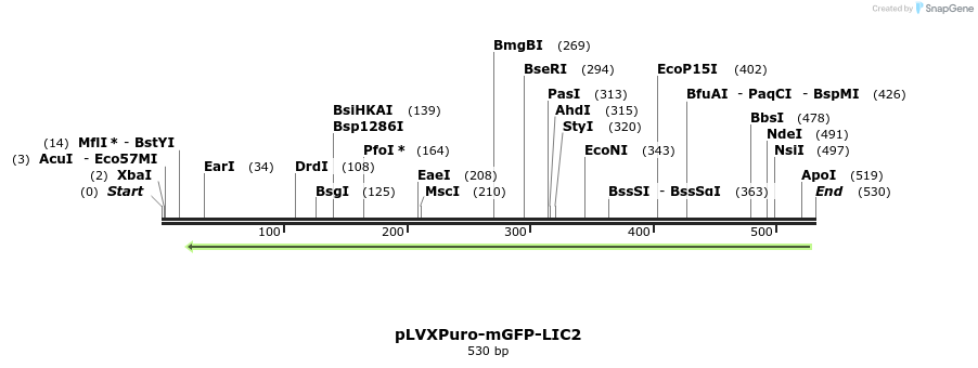 116689_map