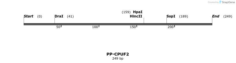 11669_map