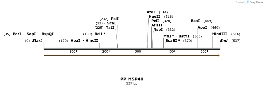 11670_map