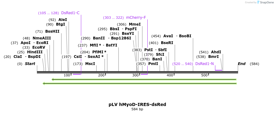 116703_map