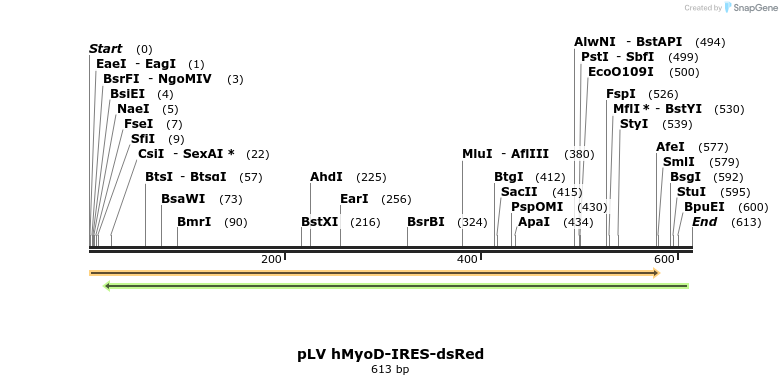 116705_map