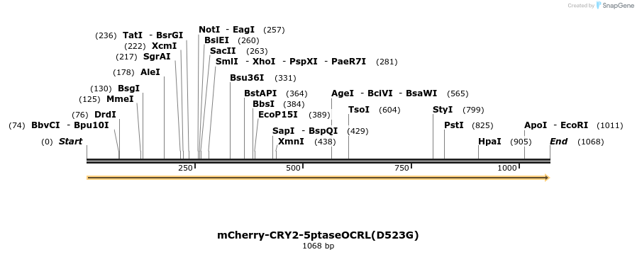 116714_map
