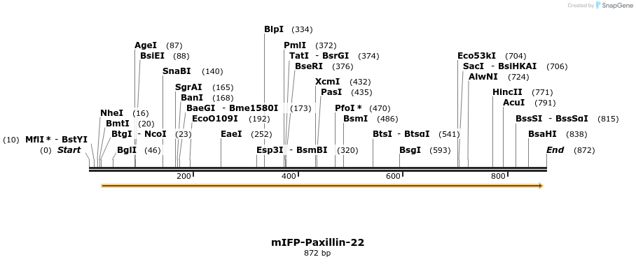116728_map