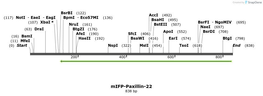 116729_map