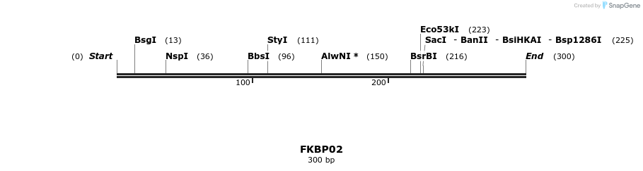 11673_map