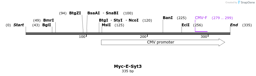 116736_map