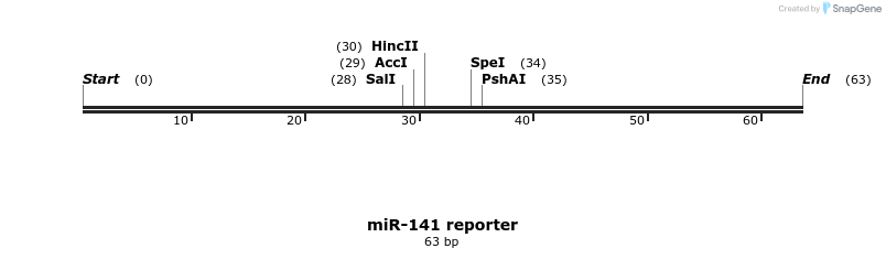 116740_map