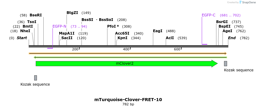 116746_map