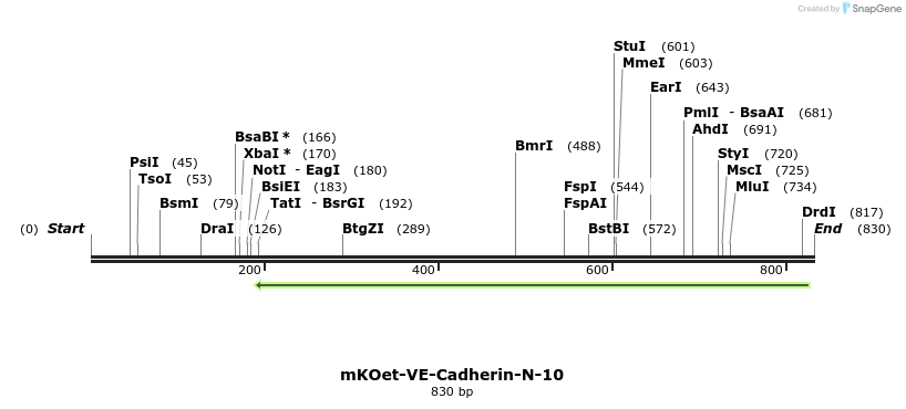 116748_map