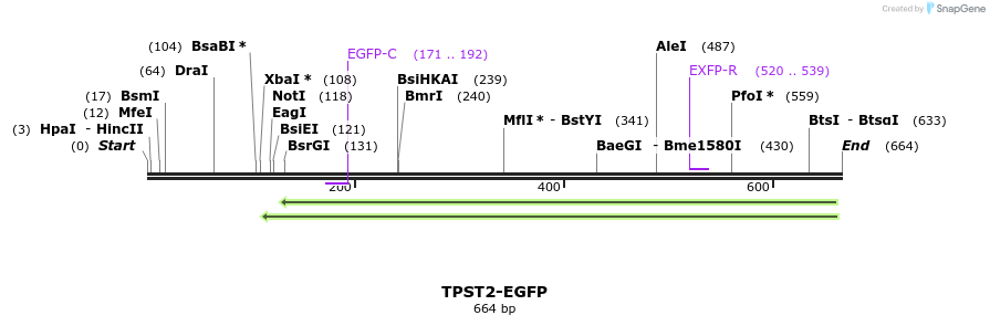 116750_map