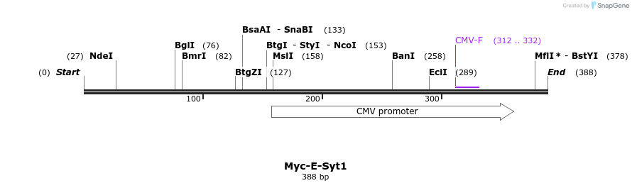 116751_map