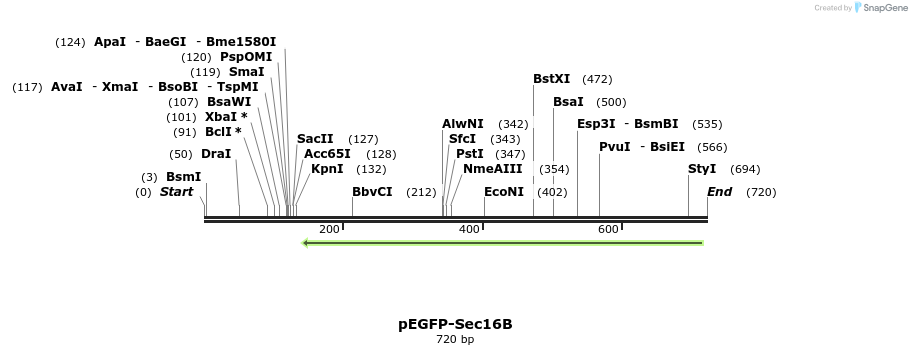116756_map