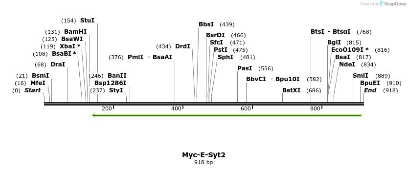 116762_map