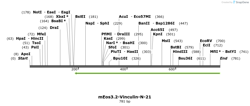 116764_map