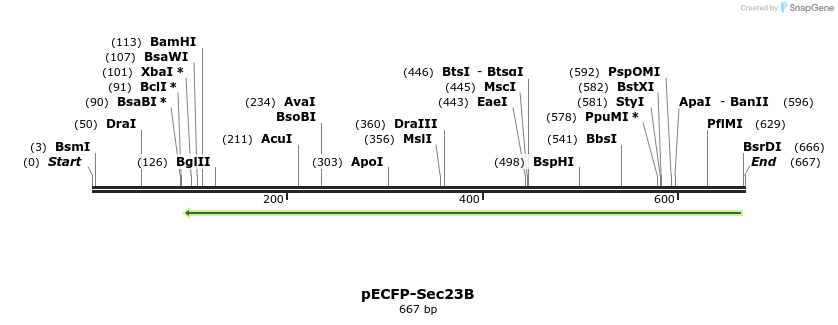 116766_map