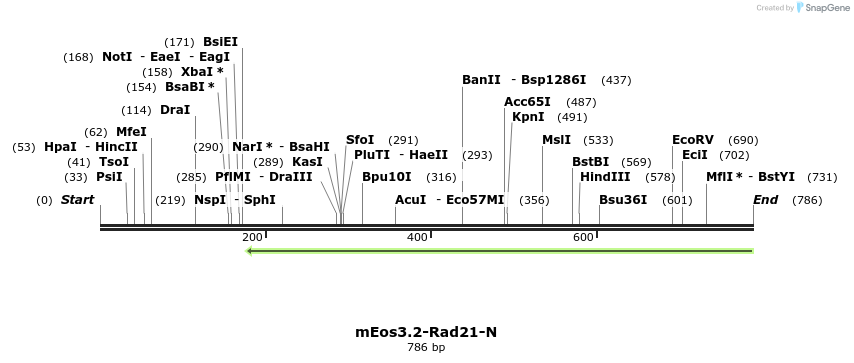 116769_map
