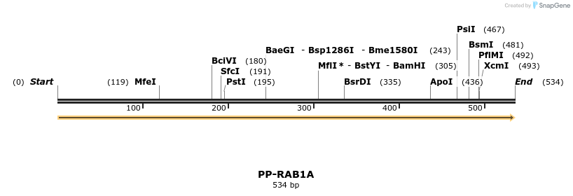 11677_map