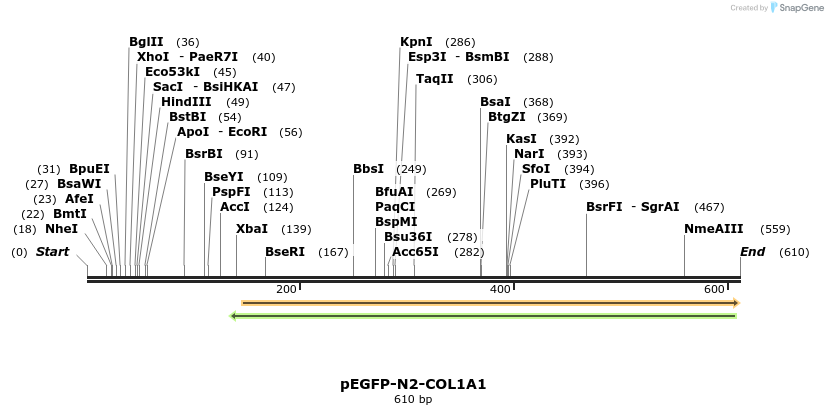 116771_map