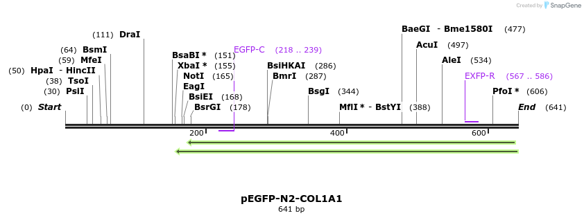 116773_map