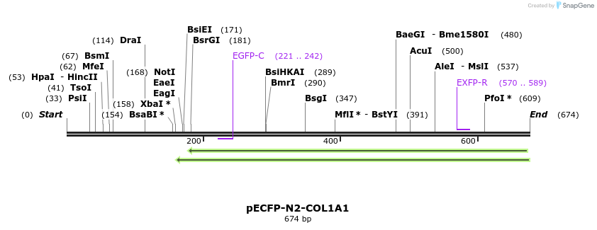 116776_map