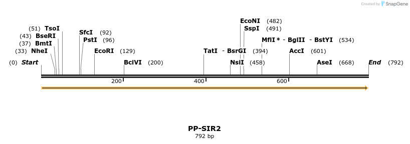 11678_map