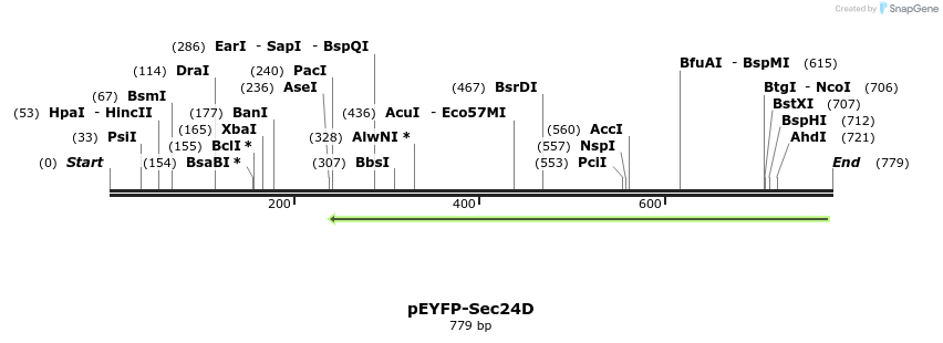 116782_map