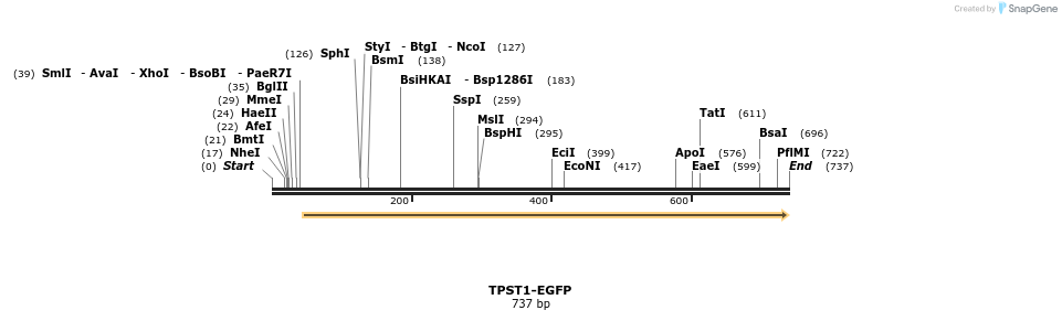 116789_map