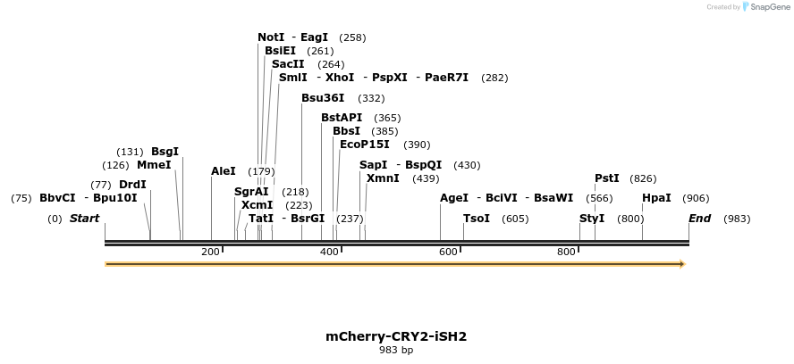 116790_map