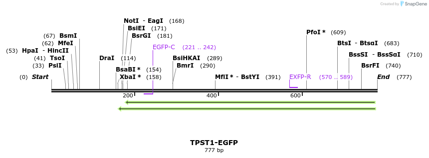 116792_map