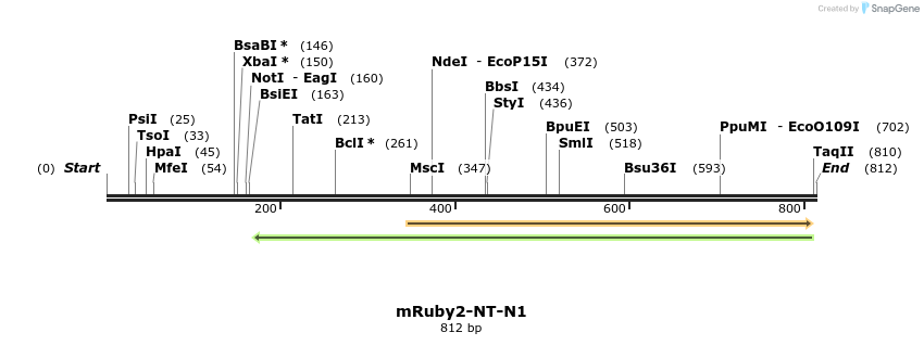 116796_map