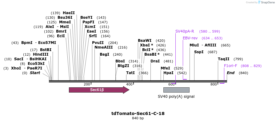 116799_map