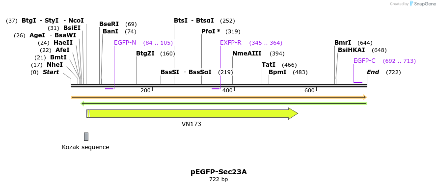 116800_map