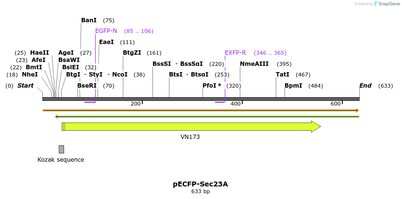 116803_map