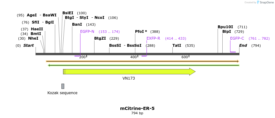 116806_map