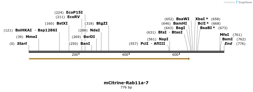 116807_map