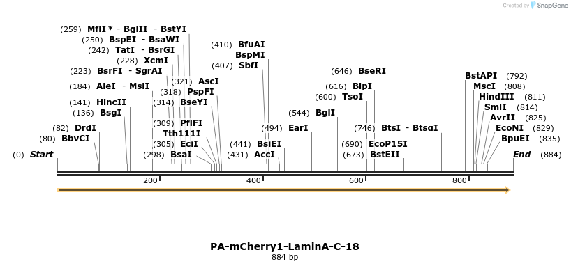 116811_map
