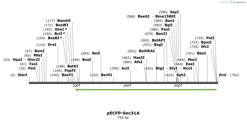 116812_map