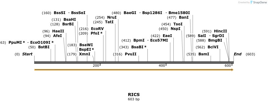 11682_map