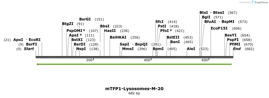 116824_map